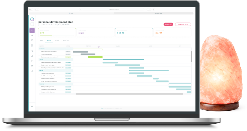 NIDL personal development coaching plan displayed on a laptop